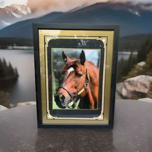 A BEAUTIFUL FRAMED "SECRETARIAT" PRINT GREATEST HORSE OF ALL!!! - Picture 1 of 1