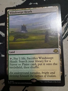 Windswept Heath Modern Horizons 3 235 NM MTG - Picture 1 of 1