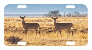 Doe License Plate Auto Tag - Picture 1 of 1