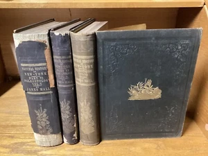 3 Vols. Natural History Of New York - Paleontology - See Below - Picture 1 of 12