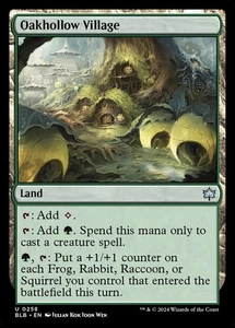 Oakhollow Village Foil (258) Bloomburrow BLB MTG Magic - Picture 1 of 1