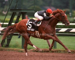 Easy Goer 1989 Travers Stakes Photo 8" x 10 - 24" x 30" - Picture 1 of 1