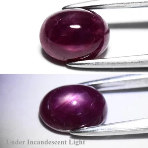 💎 1,87ct Ovaler Cabochon Natur Lila Rot 6 Strahlen Stern Rubin - Beheizt, Burma Edelstein - Bild 1 von 6