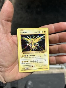 Zapdos - Picture 1 of 2