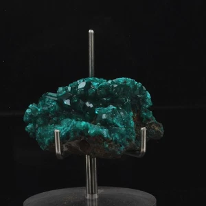 Mineralien Und Edelsteine. Dioptas. 86,45 Ct. Renéville Mine (Djoué Minen) - Bild 1 von 2