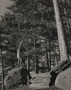 1990 Vintage BRUCE WEBER Outdoor Male Nude Handstand Adirondack Photo Art 11X14 - Picture 1 of 1