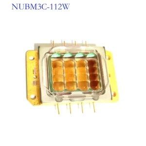 NICHIA NUBM3C Blue Light High Power 455nm 112W 20LDs Laser Integrated Module - Picture 1 of 10