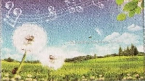 STOVE BACKSPLASH STICKER/ WALL DECAL(35"x23")DAISIES,DANDELION FLOWERS & LADYBUG - Picture 1 of 5