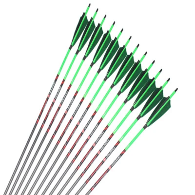 12pcs 32" Carbon Arrows SP250-600 5" Turkey Feather Traditional Compound Bow - Image 1 of 4