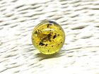 Amber With Insect Round Bead Gift Natural Baltic Piece Not Drilled 0,3g 13566