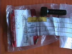 GENUINE SUZUKI FORK INNER TUBE BOLT 51352-00A00 GS GSX GSXR 550 750 1100 1150 - Picture 1 of 2