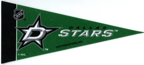 DALLAS STARS~NHL HOCKEY TEAM COLLECTIBLE SOUVENIR NEW MINI 9" MINIATURE PENNANT Cover