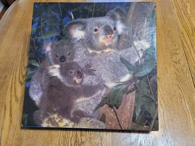 Hoyle Koala My Dreams 550 Piece Puzzle  - Imagem 1 de 2