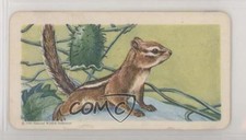 1962 Brooke Bond Red Rose Animals of North America Series 2 Eastern Chipmunk 0o9