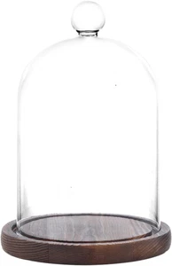 Cupula de vidrio con base campana de vidrio vitrina con base madera para plantas - Bild 1 von 12