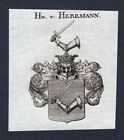 ca. 1820 Herrmann Wappen Adel coat of arms Kupferstich antique print heraldry