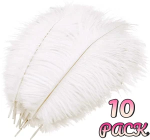 10 White Ostrich Feathers 10–12" (25-30 cm) for DIY Crafts, Wedding/Party Decor - Picture 1 of 12