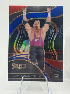 Jim The Anvil Neidhart Silver Ringside 2024 Select WWE - Picture 1 of 2