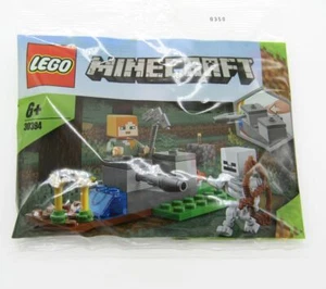 LEGO 30394 Minecraft The Skeleton Defense Polybag 2020 - Zdjęcie 1 z 2