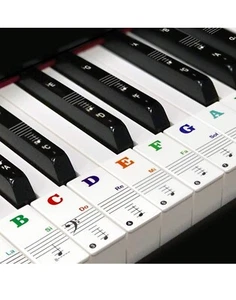 Transparent Removable Piano Keyboard stickers for 88/61/54/49 Beginner Learning - Picture 1 of 7