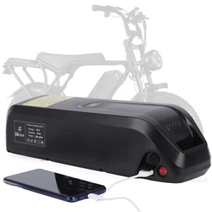 Hailong 48v Ebike Battery ≤1000W Electric Bike Motor Lithium Battery 30A BMS - Picture 1 of 39