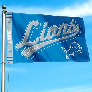 WinCRAFT Detroit Löwen Schriftzug Logo Premuim Flagge 36 x 50 Zoll Banner - Bild 1 von 6