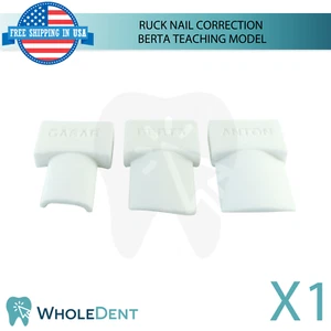 Ruck Nail Correction Berta Teaching Model Beginner Level Training Object - Picture 1 of 3