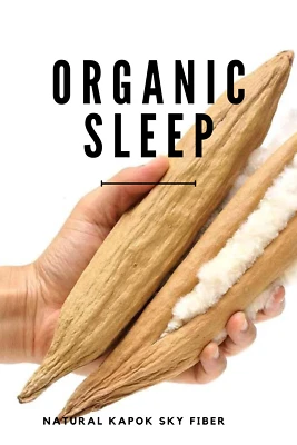 100% Organic Natural Kapok Cotton Filling Stuffing toys pillows Free shipping - Image 1 of 4