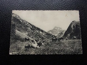 FRANKREICH - Postkarte Valley du Queyras (le mont viso) (B21) - Bild 1 von 2
