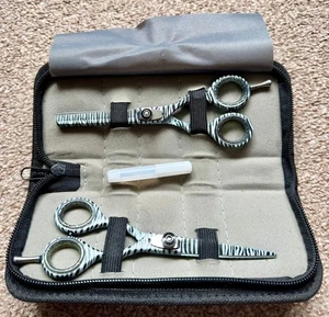 Hair Cutting Thinning Scissors Shears Set Hairdressing Salon Professional Case - Picture 1 of 8
