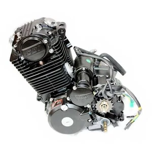 Shineray 250cc Electric Start Air Cooled Manal Clutch Engine Motor PIT DIRT BIKE - Foto 1 di 11