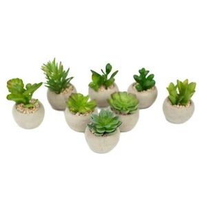 Green Mini Succulents Set Eight Round Cement Pots Faux Floral - Picture 1 of 3