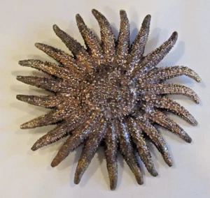 Guilded Starfish Pin - Picture 1 of 2