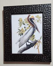 Brown Pelican Framed Lithograph Print By John James Audubon 