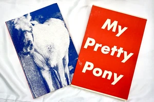 Mein hübsches Pony von Stephen King/Barbara Kruger, Knopf, 1989. 1. Aufl. HC/Slipper - Bild 1 von 14