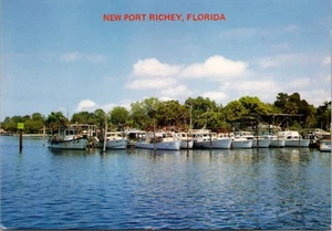 Nueva postal Port Richey Florida FL Pithlachascotte Cottle River sin usar D36 - Imagen 1 de 2