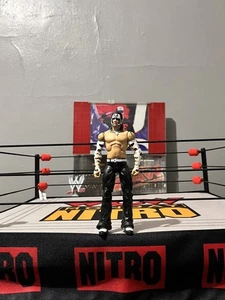 WWE Mattel Jeff Hardy Elite CUSTOM Wrestling Figure Face Paint TNA WWF AEW NXT - Picture 1 of 3