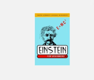 Einstein for Beginners by Schwartz, Joseph; McGuinness, Michael - Imagen 1 de 1