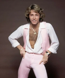 Poster fotografico 13x19 Andy Gibb - Foto 1 di 1
