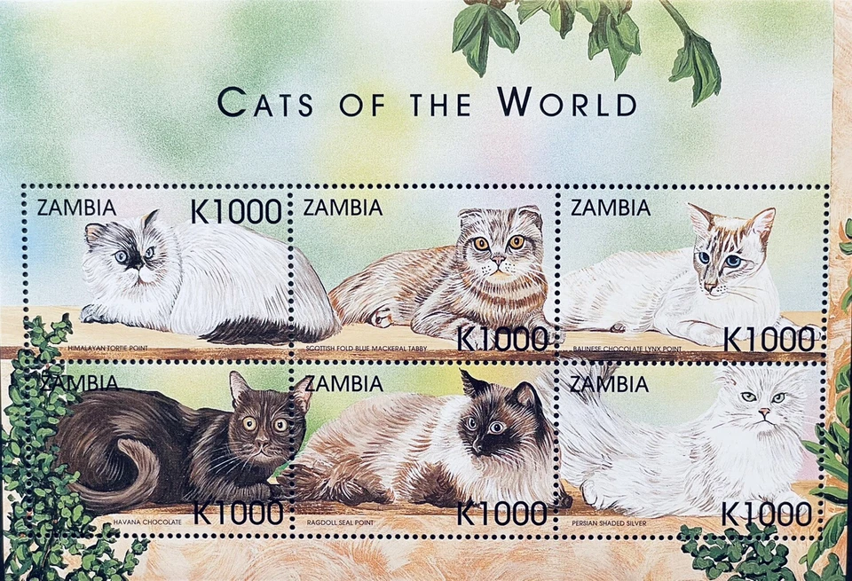 ZAMBIA CATS OF THE WORLD STAMPS SHEET 1999 MNH ANIMALS PET TABBY RAGDOLL PERSIAN - Image 1 of 1