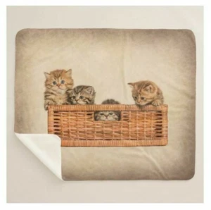 Kittens In A Basket Cute Cats Photo Art Brown Sherpa Fleece Throw Blanket - Picture 1 of 5