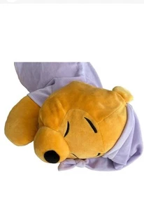 Disney Parks schlafendes Winnie Puuh Kissen Haustier Plüsch Dream Friends Kissen 20 Zoll - Bild 1 von 8