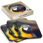 4 x Boxed Square Coasters - Blue & Yellow Macaw Parrot Bird  #12744