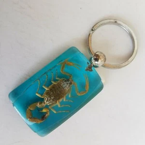 Real Scorpion Keychain Key Ring - Picture 1 of 7