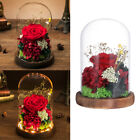 Konservierte Glasabdeckung LED Licht Glas Kuppel Lampe Romantische Rose
