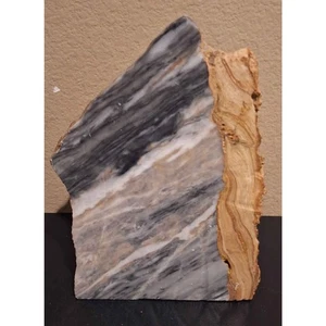 Hermosa decoración de madera petrificada y ágata - 5,4" de ancho x 3,5" de profundidad x 8" de alto - Imagen 1 de 6