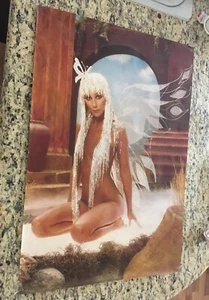 Lote de 10 PÓSTER/FOTO MARIPOSA DESNUDA CHER ORIGINAL 1978 ESTUDIOS Harry Langdon - Imagen 1 de 2