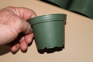 4 inch green azalea pots set of  100  - Picture 1 of 2