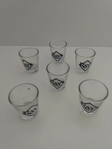Set Of 6 Tampa Bay Rays Party Shot Glass  2oz. In a Box Cover