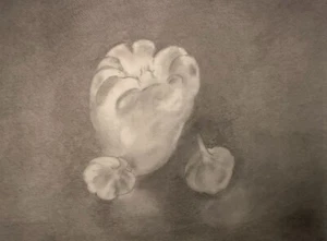 Original Pencil Drawing Still Life Signed - Picture 1 of 2